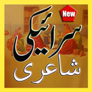 Saraiki Shayri Dohray Tappay APK
