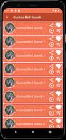 Cuckoo Bird Sounds screenshot 2