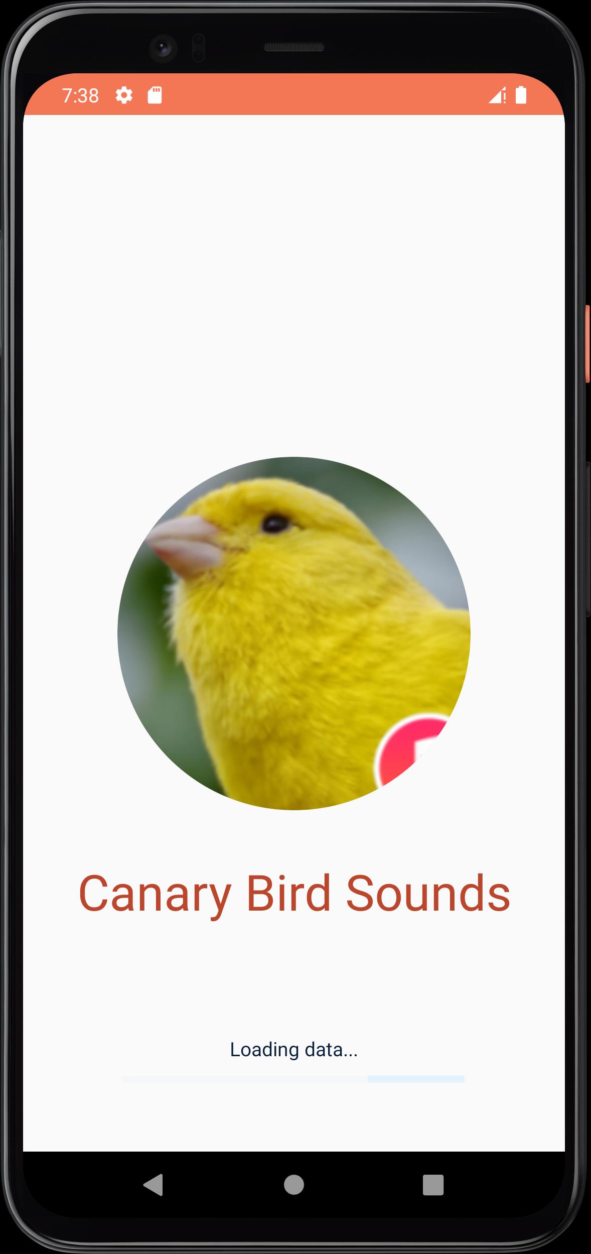 Android canary Android canary