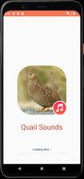 Quail Sounds poster