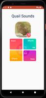 Sons de caille capture d'écran 1