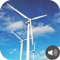 Wind Sounds