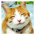 Funny Animal Pics