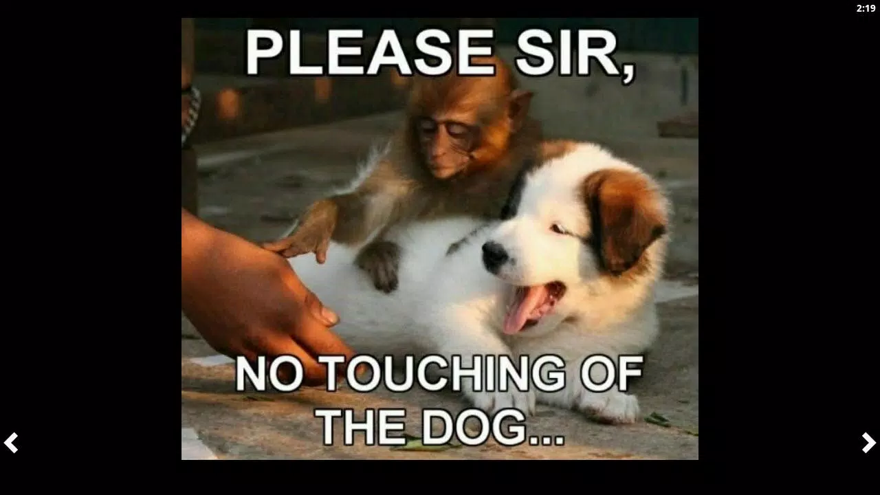 Funny Animal Pics APK for Android Download Funny Animal Pics APK for Android Download