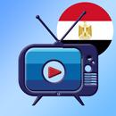Egypt Live TV APK