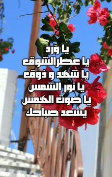 Screenshot 5 for رسائل أجمل صباح الخير بدون إنترنت