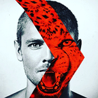 The face of the red Tiger **Photo Editor** Zeichen