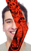 The face of the red Tiger **Photo Editor** Affiche