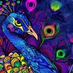 Peacock Wallpapers icon