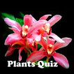 ”Plants Quiz - for botanists