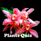 Icona Plants Quiz