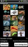 Zoology Quiz poster