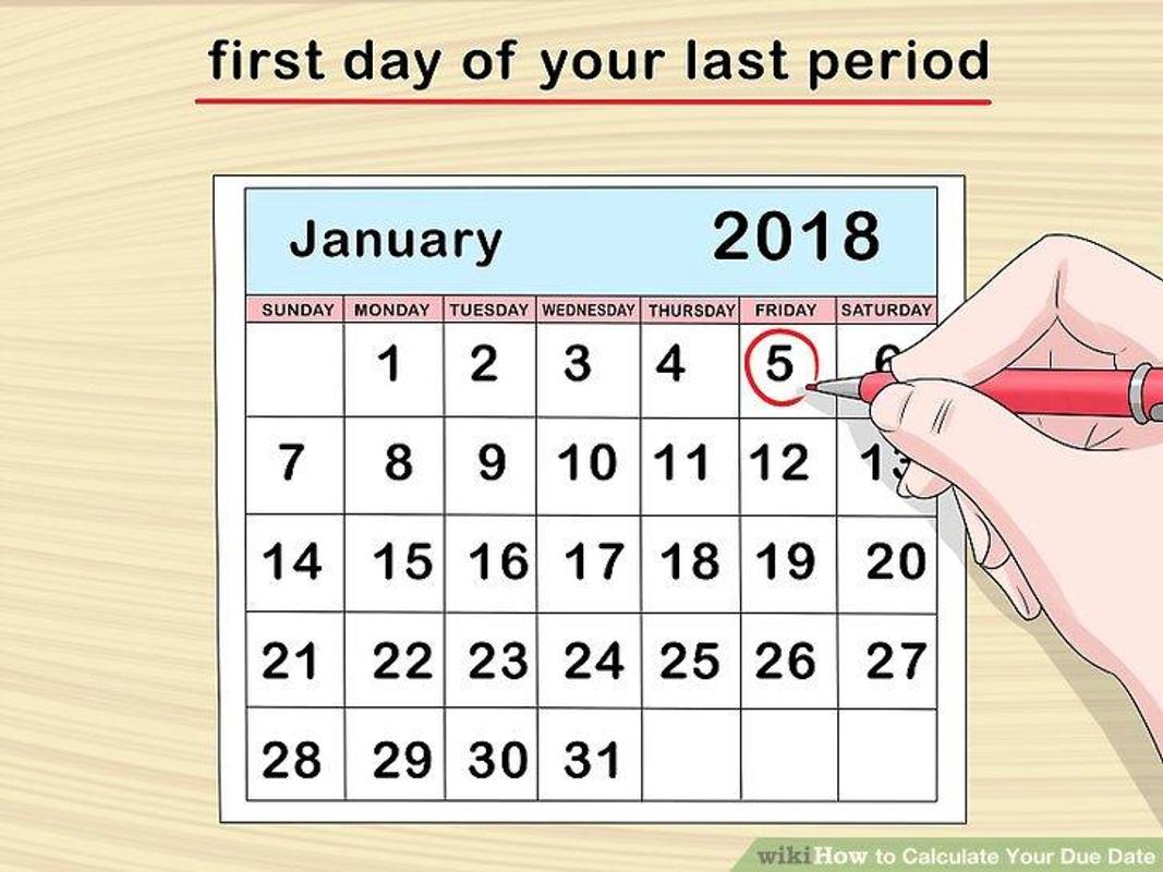 How Soon Can I Test For Pregnancy Calculator - Pregnancy Test Kit