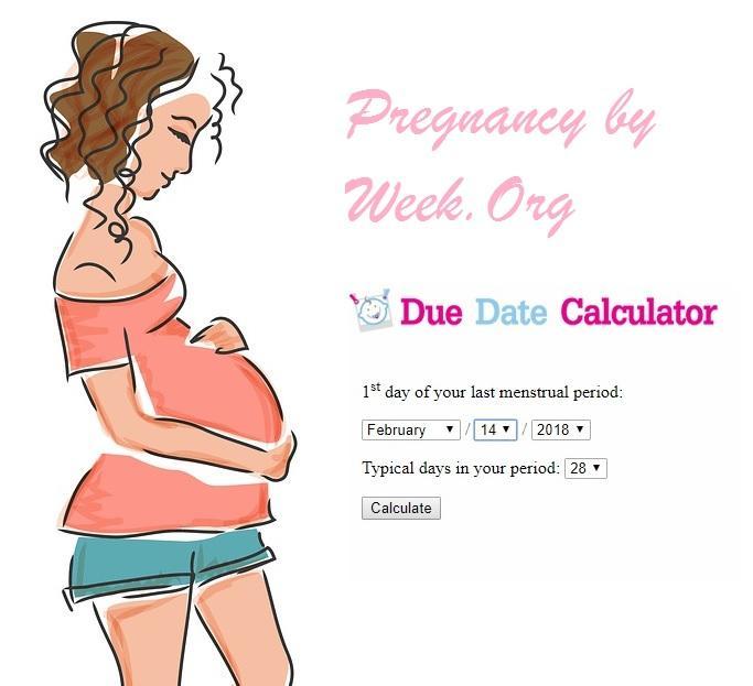 pregnancy calculator day by day for android apk download pregnancy tracker day by day