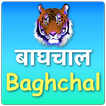 Baghchal Game