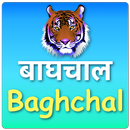 Baghchal Game APK