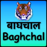 Baghchal Game screenshot 2