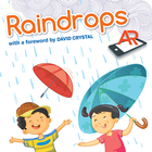 Raindrops 4 AR icône