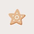Sugar Cookies Recipe