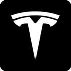 Show me Tesla ikon