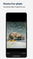 RatReport screenshot 2