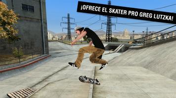 Skateboard Party 3 Pro Poster