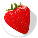 Тест Земляничная поляна APK