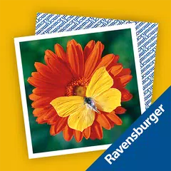 memory® XAPK download