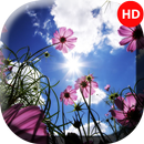 Spring Wallpapers - 4k & Full HD Wallpapers APK