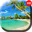 Tropical Wallpapers  - 4k & Full HD Wallpapers APK