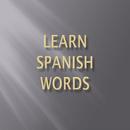Learn Spanish Words APK