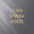 Learn Spanish Words icône