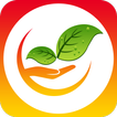 Raymondhp icon