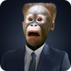 Selfie Prank APK