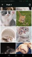 برنامه‌نما Cute Cats Wallpapers عکس از صفحه