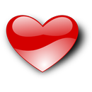 AMOR - chat & find true love APK