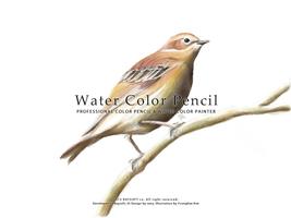 Water Color Pencil Lite ภาพหน้าจอ 3