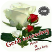 Good Morning Gif