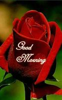 Good Morning Gif Ekran Görüntüsü 2