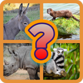 Guess the animal, puzzle.