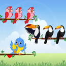 Bird Sort Puzzle:Bird Sort 3D APK