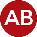 APK Airline Business