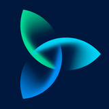 آیکون‌ ICIS