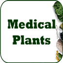 Medical Plants APK