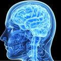 Best Brain Booster