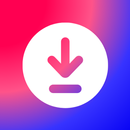 Video Downloader: Story Saver APK