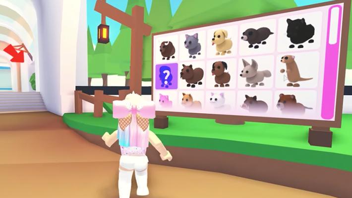 Playing Adopt Me On Roblox