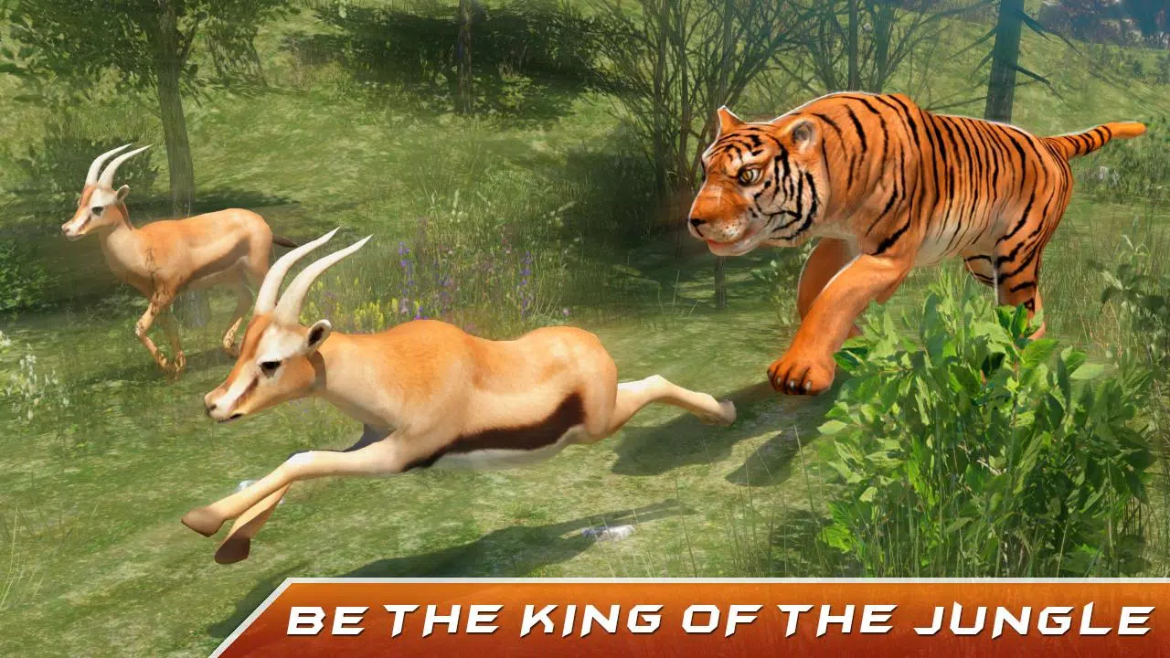 Jogo de Tigre Para Celular Tiger Simulator 3D Android ios Gameplay