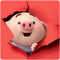 Cute Pig Wallpapers