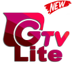 GTvLite